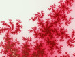 fractal background
