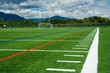Sport turf