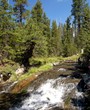 Oregon Stream
