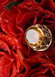 Beautiful gift