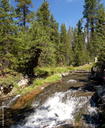 Photo: Oregon Stream Oregon Stream