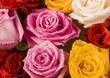 Colorful bouquet