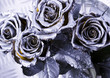 Silver roses