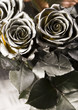 Silver roses