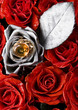 Romance