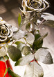 Silver roses