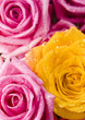 Romantic flowers