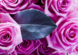 Bouquet of roses