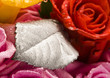 Romantic flowers
