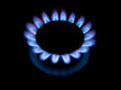 flame of gas kitchen plate flame of gas kitchen plate