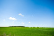summer background summer background