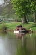 Boat in from of a tree