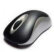 Souris