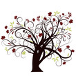 beautiful abstract vector autumn tree design