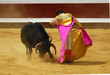 TORO 003 TORO 003
