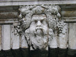 bacchus 