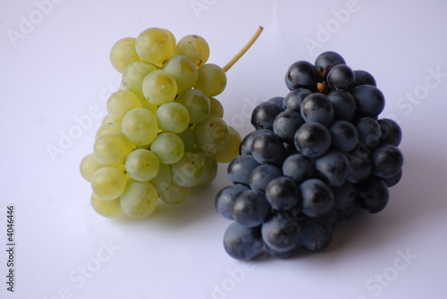 grappoli d'uva