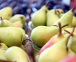 fruits at the market