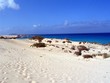 Strand Fuerteventura