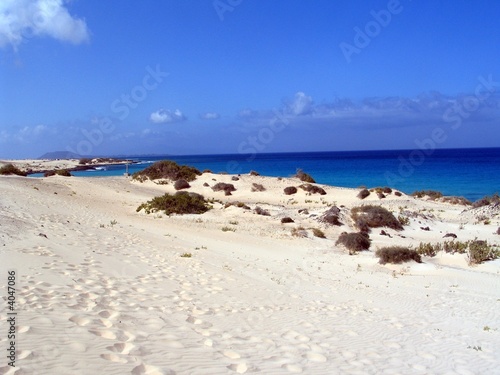 Strand Fuerteventura Strand Fuerteventura