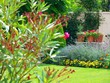 Jardin coquet Jardin coquet
