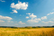 A summer outdoor scene, sky and clouds A summer outdoor scene, sky and clouds