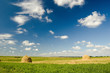 A peaceful meadow in summer A peaceful meadow in summer