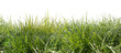 Grasfreisteller