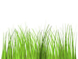 Grasfreisteller