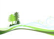 Sapins hiver