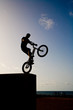 young with Bicycle