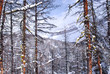 Mountain landscape