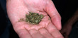 joint...drogue douce