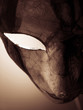 carnival mask