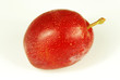 Single red plum