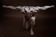 The muscular male