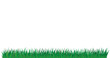Green grass of different shades 2