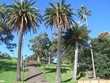 Farm Cove - Sydney Farm Cove - Sydney