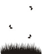 butterflies above a field