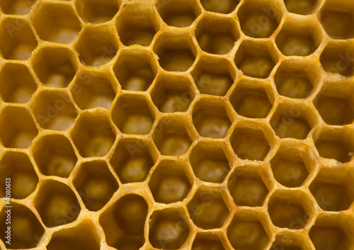 Photo: Honey Honey