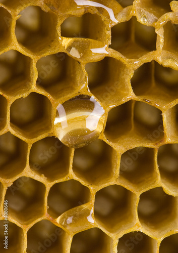 Photo: Honey Honey