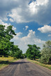 Road in steppe