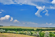 Steppe with blue sky and clouds