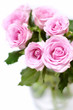 Pink roses bouquet