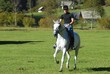 Photo: Horseback riding in nature Horseback riding in nature