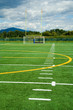 Artificial sport field