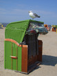 Strandkorb mit Möwe