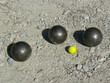 boule boule