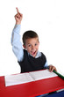 Primary School boy