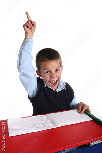Primary School boy